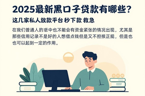 2025最新黑口子贷款有哪些?这几家私人放款平台秒下款救急