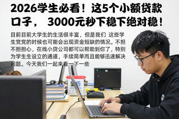 2026学生必看！这5个小额贷款口子，3000元秒下绝对稳！