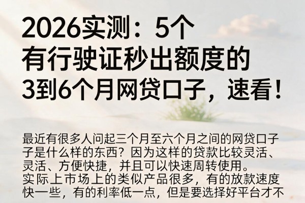 2026实测：5个有行驶证秒出额度的3到6个月网贷口子，速看！