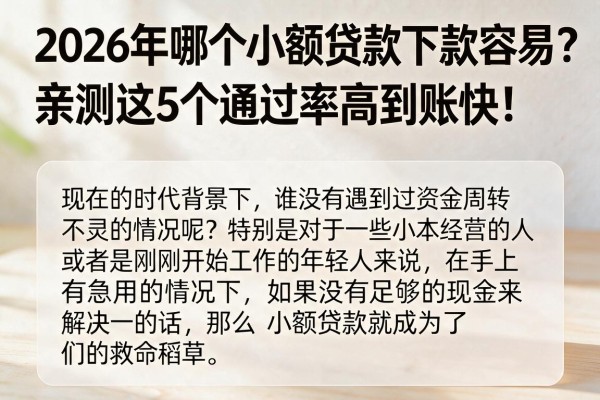 2026年哪个小额贷款下款容易?亲测这5个通过率高到账快!