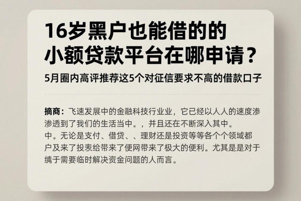 16岁黑户也能借的小额贷款平台在哪申请？5月圈内高评推荐这5个对征信要求不高的借款口子