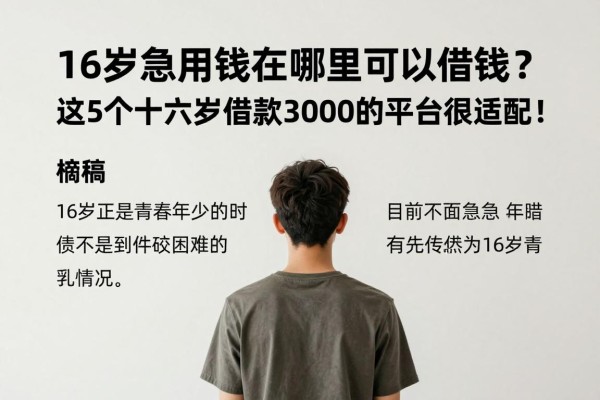 16岁急用钱在哪里可以借钱？这5个十六岁借款3000的平台很适配！