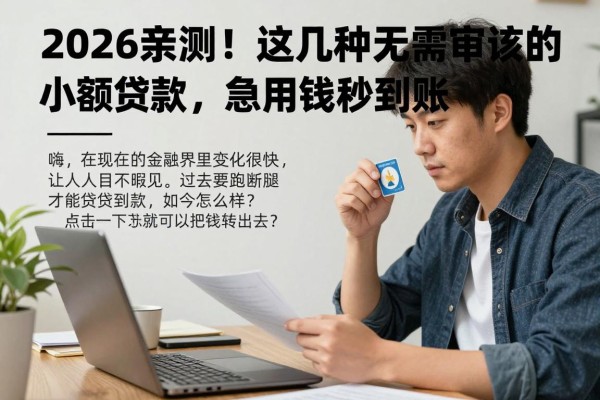 2026亲测！这几种无需审核的小额贷款，急用钱秒到账！