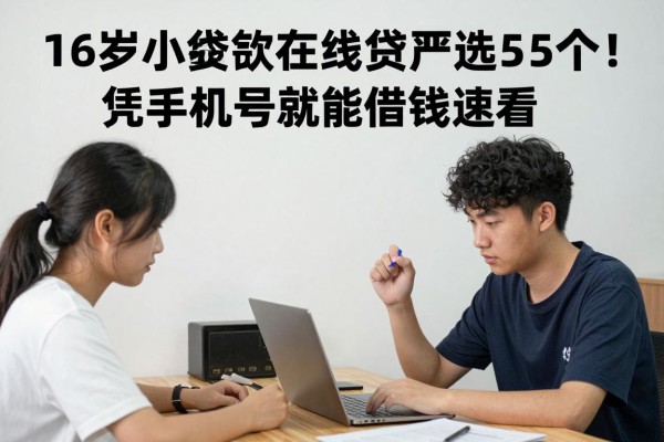 16岁小额贷款在线贷严选这5个！凭手机号就能借钱速看