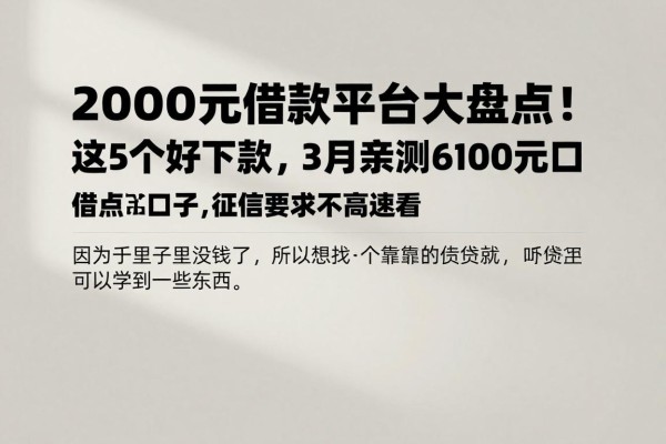 2000元借款平台大盘点!这5个好下款,3月亲测6000元口子,征信要求不高速看