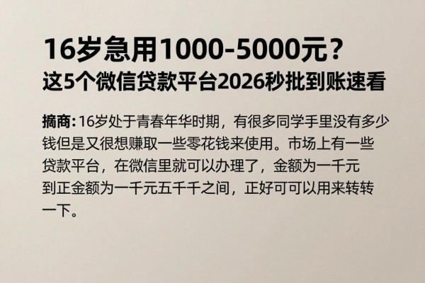 16岁急用1000-5000元？这5个微信贷款平台2026秒批到账速看