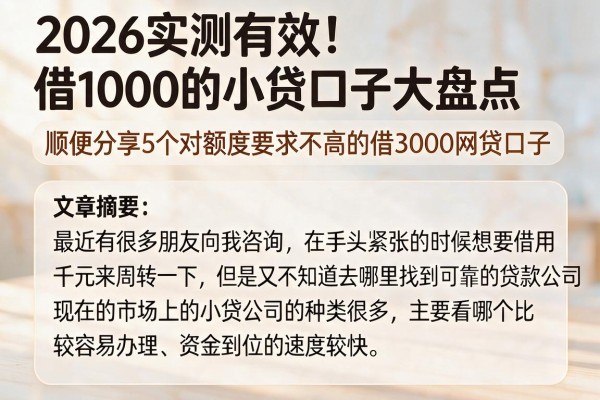 2026实测有效!借1000的小贷口子大盘点,顺便分享5个对额度要求不高的借3000网贷口子