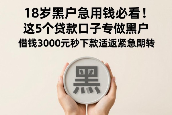 18岁黑户急用钱必看！这5个贷款口子专做黑户，借钱3000元秒下款适配紧急周转
