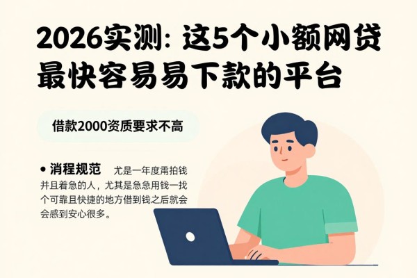 2026实测:这5个小额网贷最快最容易下款的平台,借款2000资质要求不高、流程超规范