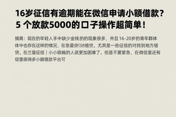16岁征信有逾期也能在微信申请小额借款?5个放款5000的口子操作超简单!