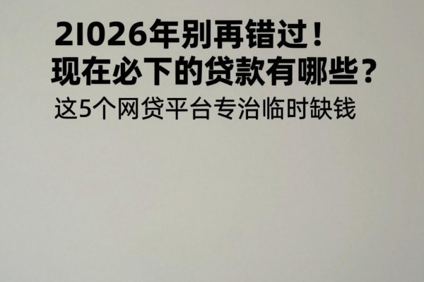 2026年别再错过!现在必下的贷款有哪些?这5个网贷平台专治临时缺钱