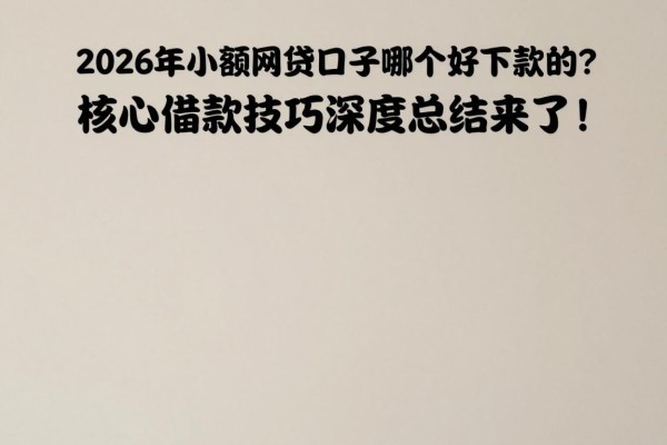2026年小额网贷口子哪个好下款的？核心借款技巧深度总结来了！