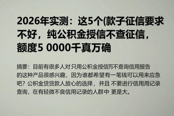 2026年实测：这5个借款口子对征信要求不高，纯公积金授信不查征信，额度5000千真万确