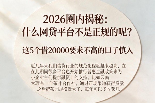 2026圈内揭秘:什么网贷平台不是正规的呢?这5个借20000要求不高的口子慎入
