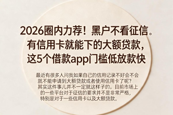 2026圈内力荐!黑户不看征信、有信用卡就能下的大额贷款,这5个借款app门槛低放款快