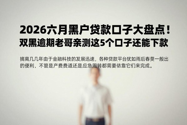 2026六月黑户贷款口子大盘点!双黑逾期老哥亲测这5个口子还能下款