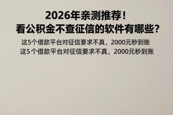 2026年亲测推荐！看公积金不查征信的软件有哪些？这5个借款平台对征信要求不高，2000元秒到账