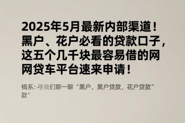 2025年5月最新内部渠道！黑户、花户必看的贷款口子，这五个几千块最容易借的网贷平台速来申请！