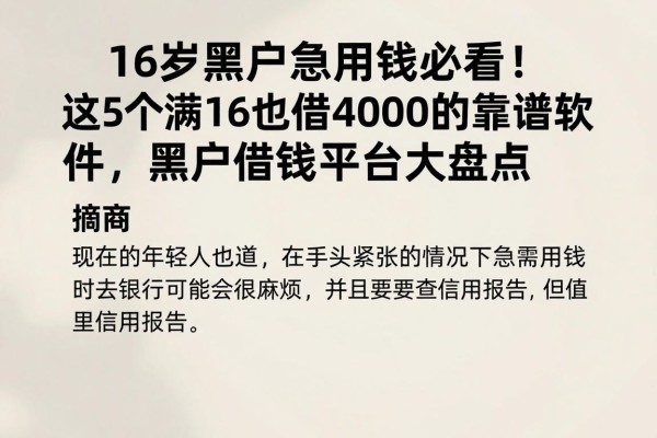 16岁黑户急用钱必看！这5个满16岁也能借4000的靠谱软件，黑户借钱平台大盘点