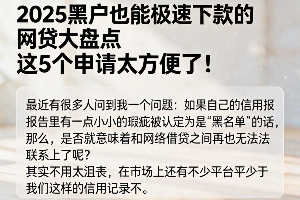 2025黑户也能极速下款的网贷大盘点，这5个申请太方便了！