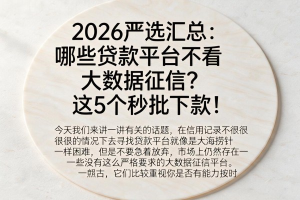 2026严选汇总：哪些贷款平台不看大数据征信？这5个秒批下款！