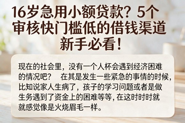 16岁急用小额贷款?5个审核快门槛低的借钱渠道新手必看!