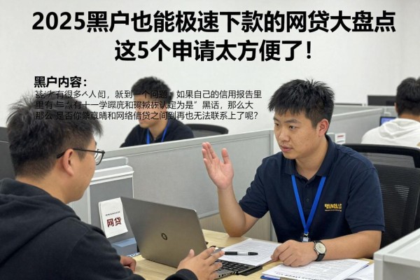 2025黑户也能极速下款的网贷大盘点，这5个申请太方便了！
