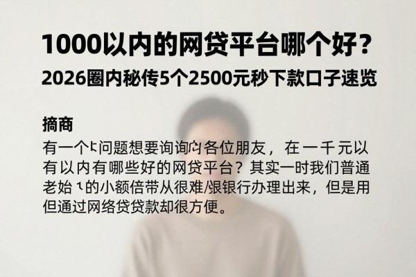 1000以内的网贷平台哪个好？2026圈内秘传5个2500元秒下款口子速览