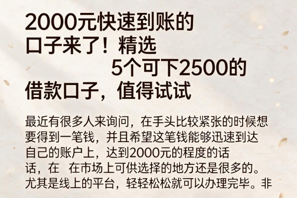 2000元快速到账的口子来了!精选5个可下2500的借款口子,值得试试