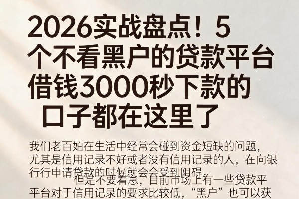 2026实战盘点!5个不看黑户的贷款平台,借钱3000秒下款的口子都在这里了
