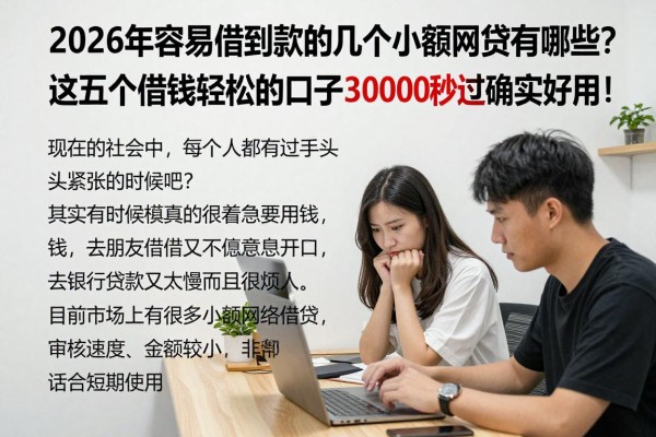 2026年容易借到款的几个小额网贷有哪些？这五个借钱轻松的口子30000秒过确实好用！