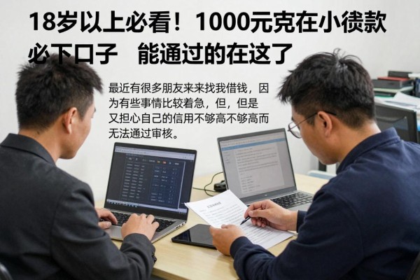 18岁以上必看！1000元左右小额贷款必下口子能通过的都在这了