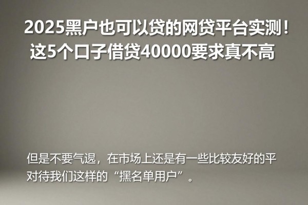 2025黑户也可以贷的网贷平台实测!这5个口子借款40000要求真不高