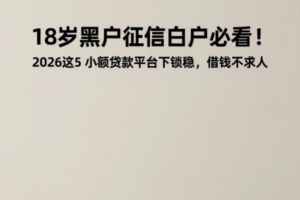 18岁黑户征信白户必看！2026这5个小额贷款平台下款稳，借钱不求人