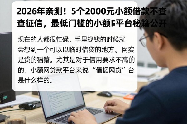 2026年亲测！5个2000元小额借款不查征信，最低门槛的小额网贷平台秘籍公开
