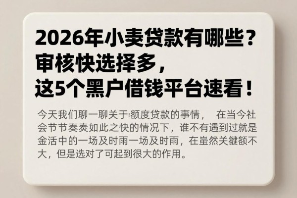 2026年小额贷款有哪些？审核快选择多，这5个黑户借钱平台速看！