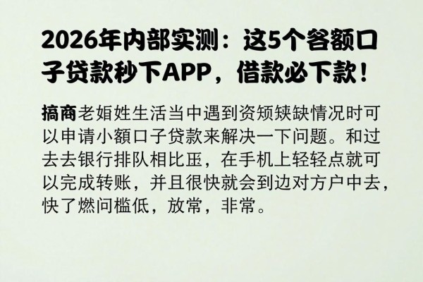2026年内部实测：这5个小额口子贷款秒下APP，借款必下款！