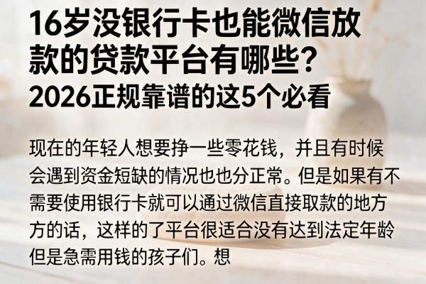 16岁没银行卡也能微信放款的贷款平台有哪些？2026正规靠谱的这5个必看