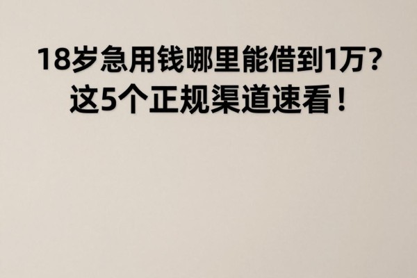 18岁急用钱哪里能借到1万?这5个正规渠道速看!