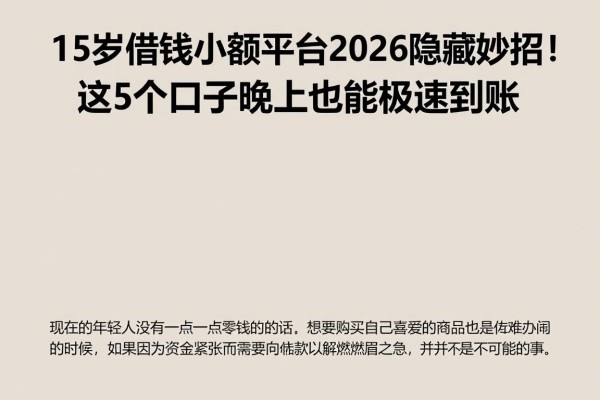 15岁借钱小额平台2026隐藏妙招!这5个口子晚上也能极速到账