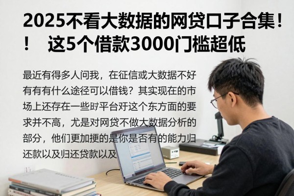 2025不看大数据的网贷口子合集!这5个借款3000门槛超低