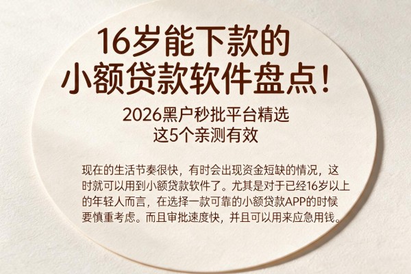 16岁能下款的小额贷款软件盘点!2026黑户秒批平台精选,这5个亲测有效