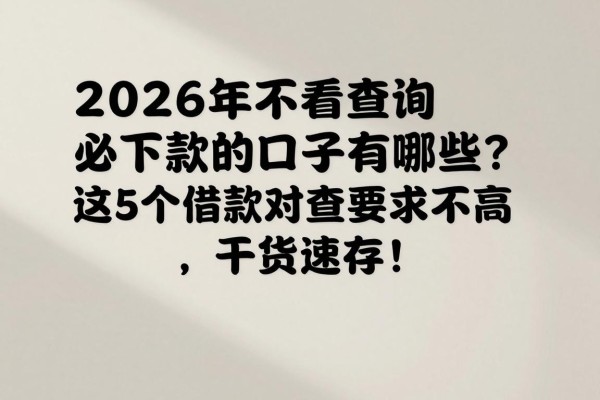 2026年不看查询必下款的口子有哪些？这5个借款对查询要求不高，干货速存！