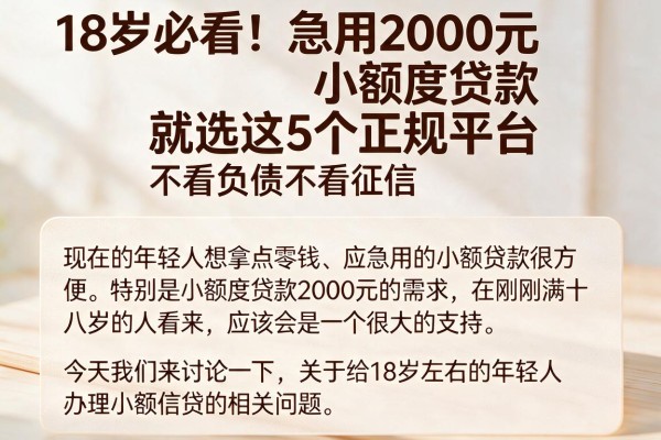 18岁必看！急用2000元小额度贷款就选这5个正规平台，不看负债不看征信