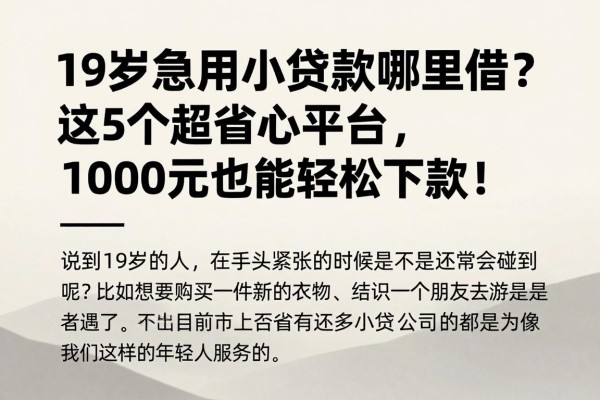 19岁急用小额贷款哪里借?这5个超省心平台,1000元也能轻松下款!