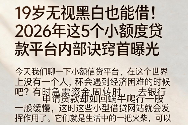 19岁无视黑白也能借！2026年这5个小额度贷款平台内部诀窍首曝光