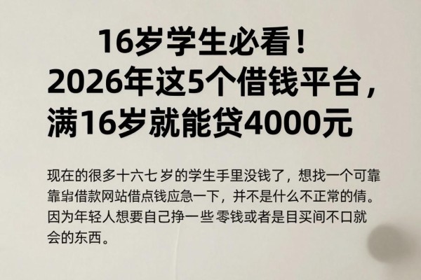 16岁学生必看!2026年这5个借钱平台,满16岁就能贷4000元