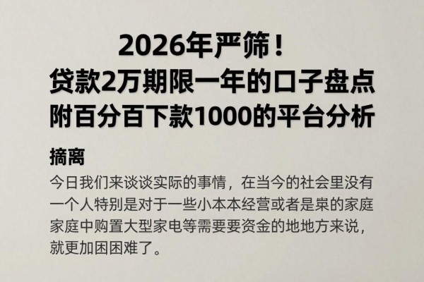 2026年严筛!贷款2万期限一年的口子盘点,附百分百下款1000的平台分析