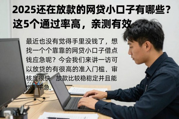 2025还在放款的网贷小口子有哪些？这5个通过率高，亲测有效！