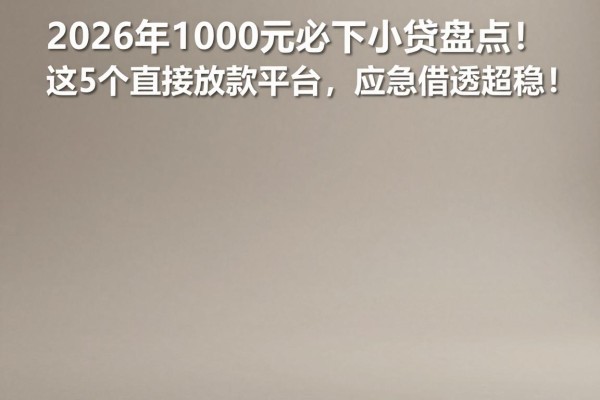 2026年1000元必下小贷盘点!这5个直接放款平台,应急借款超稳!